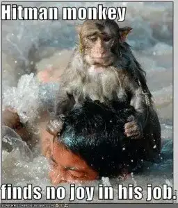 Hitman_monkey