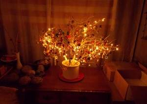 Tim's_Christmas_tree