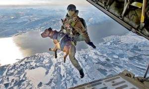 special_forces_skydiving_dog